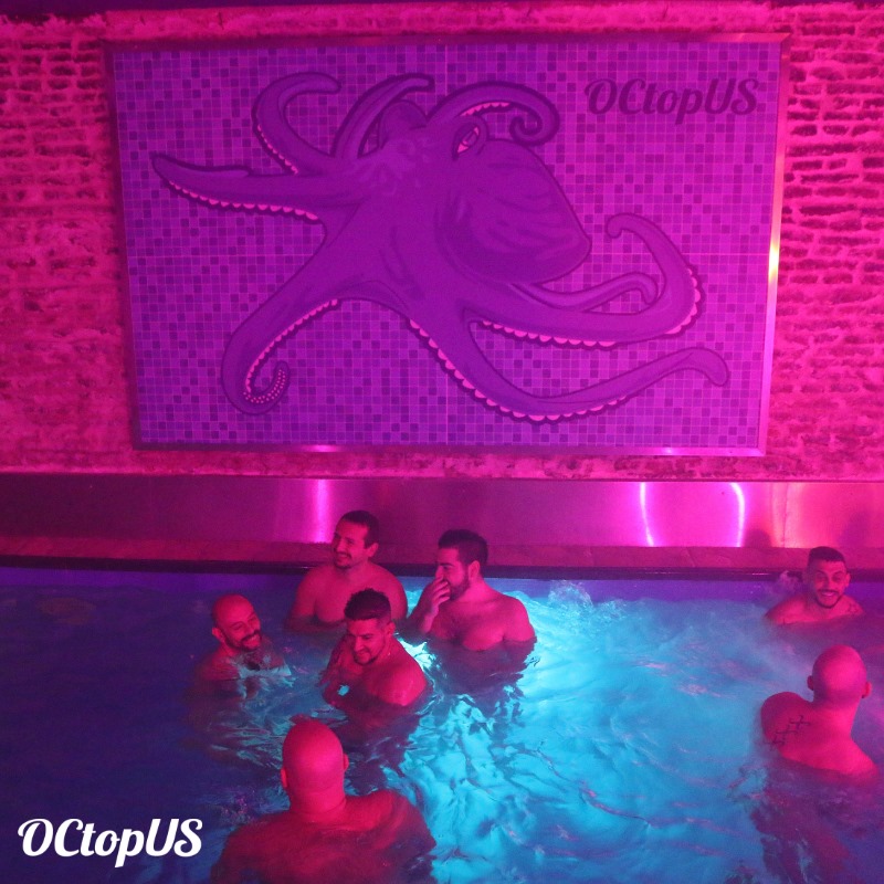 Descubre la Sauna Octopus en Madrid: Santuario para osos y admiradores