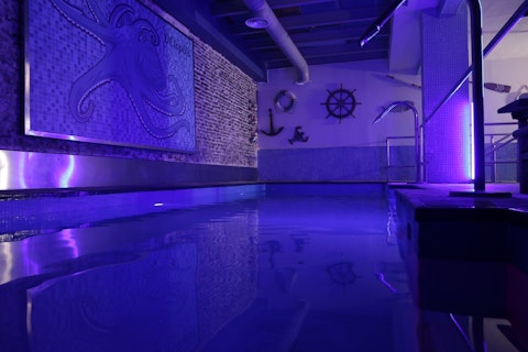 Descubre la Sauna Octopus en Madrid: Santuario para osos y admiradores